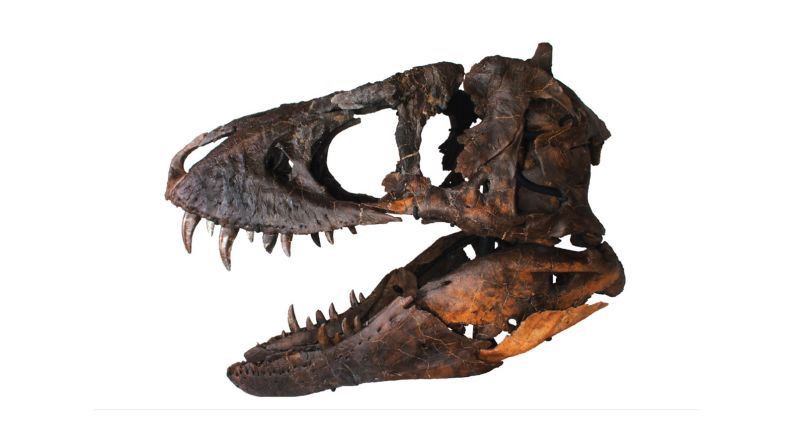 In August 2016, Luxify -- a high-end auction house -- listed this dinosaur head online for $1.8 million.