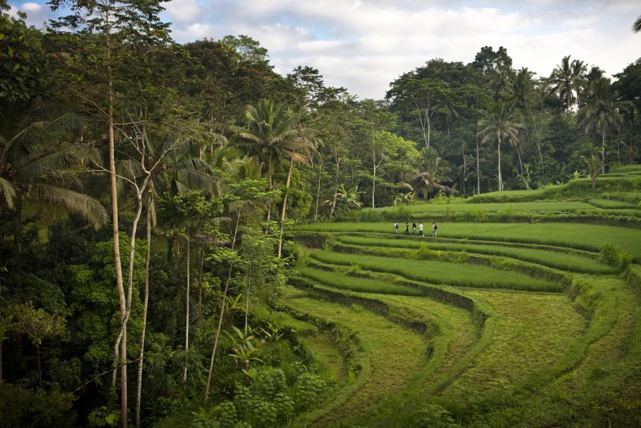 To make the most of your stay at the COMO Shambhala Estate, it's worth taking some time to hike the nearby rice terraces. 