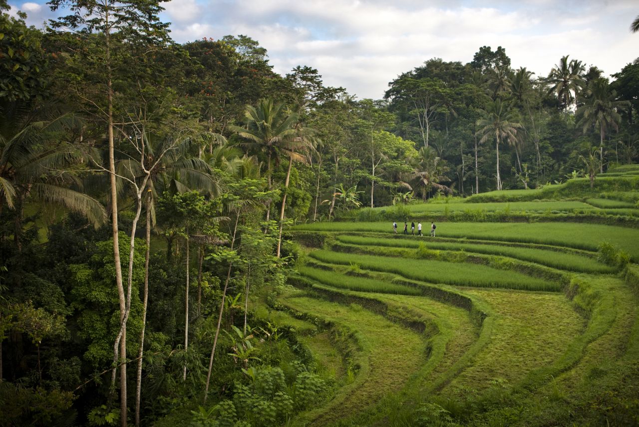 To make the most of your stay at the COMO Shambhala Estate, it's worth taking some time to hike the nearby rice terraces. 