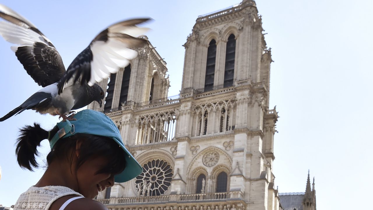 The French capital has endured a tough time recently, with visitor numbers falling sharply. Tourists who travel to Paris are still rewarded by the sights of one of the world's greatest cities -- including Notre Dame Cathedral. Less rewarding, perhaps, are encounters with local pigeons.
