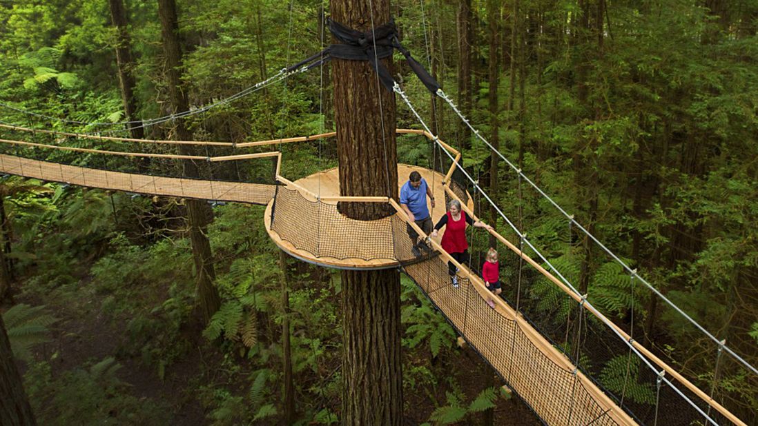 The Rotorua Treewalk has the world's longest suspended bridge course of its kind. The 30-minute ecological walk is a series of 21 suspension bridges that weave through the majestic 110-year-old Redwood trees. 