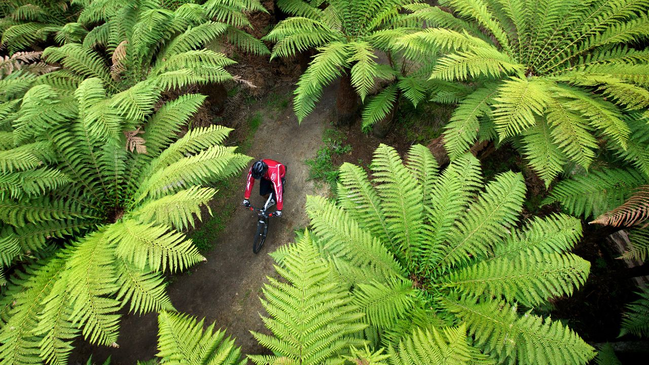 Best trails in the Southern Hemisphere?
