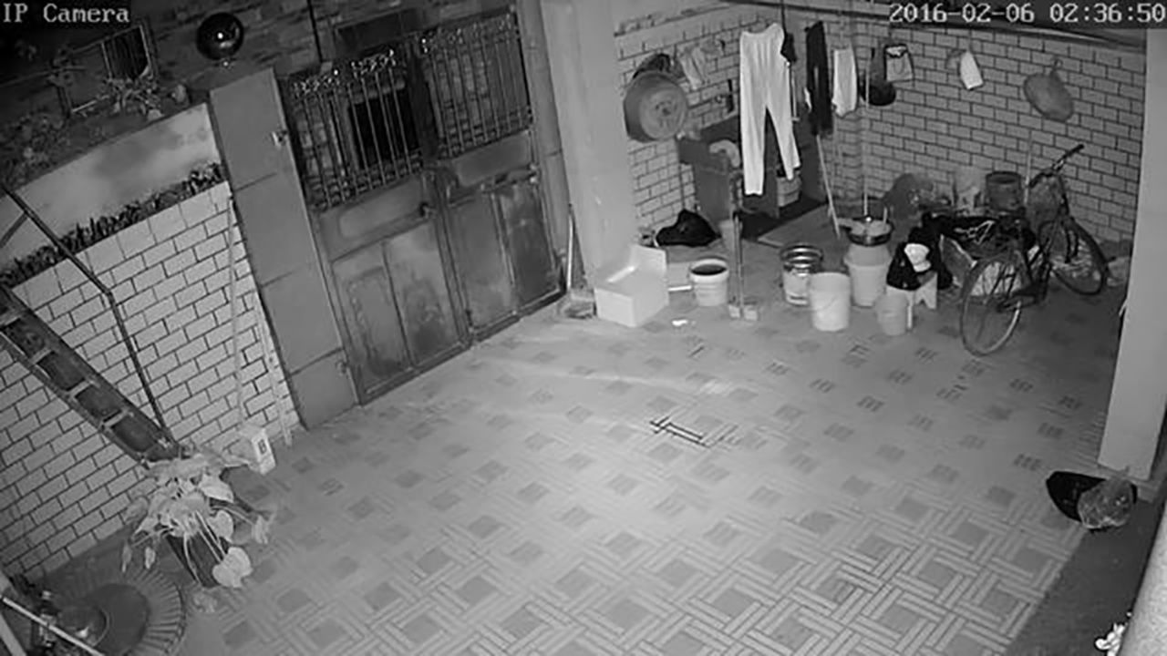 The same yard seen at night. 