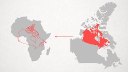Africa actual size Canada tease