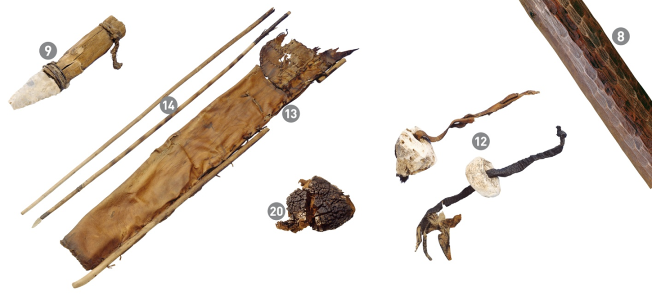 An assemblage of equipment associated with the Iceman. From left: stone dagger, bows, leather quiver, tinder fungus, birch fungus and birch bark.