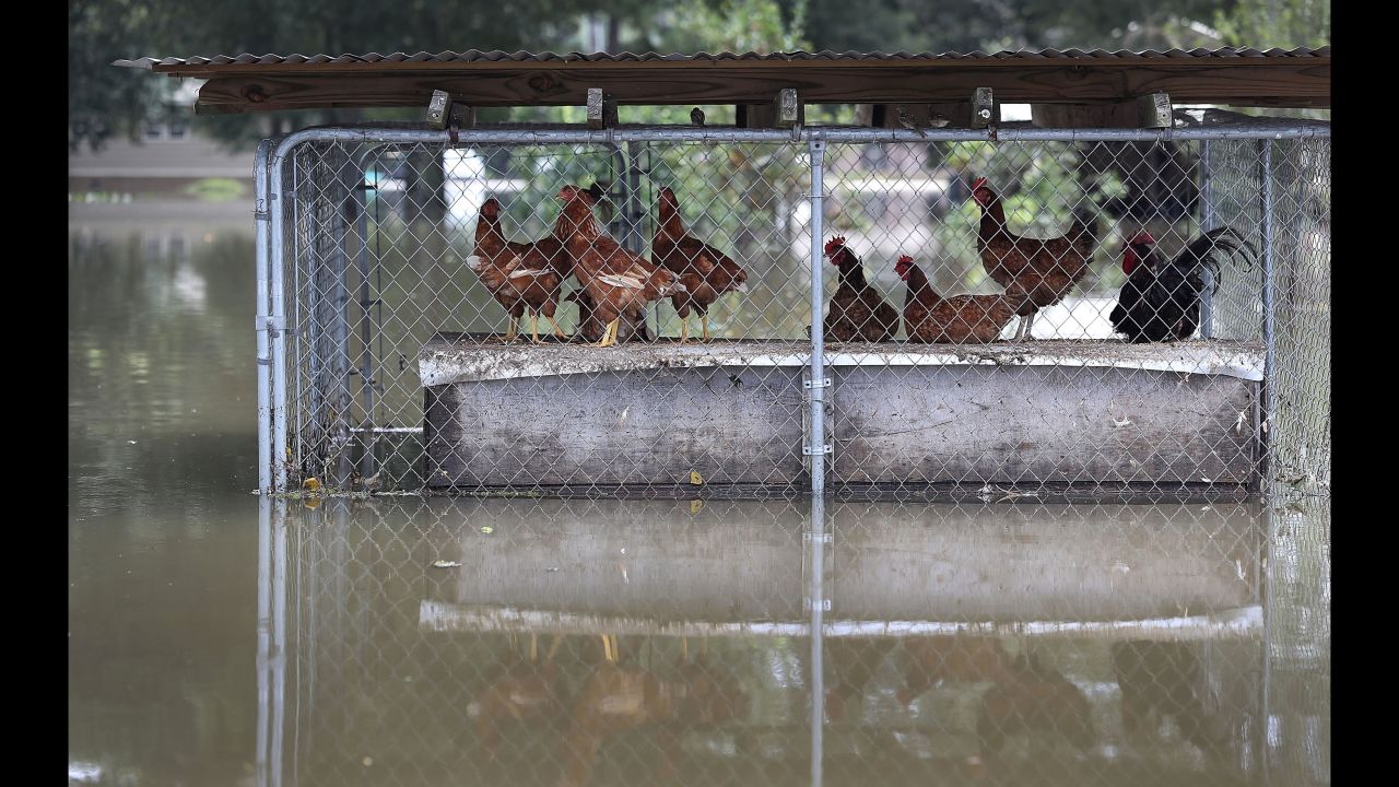 Louisiana's mammoth flooding: By the numbers | CNN Louisiana's mammoth flooding: By the numbers | CNN
