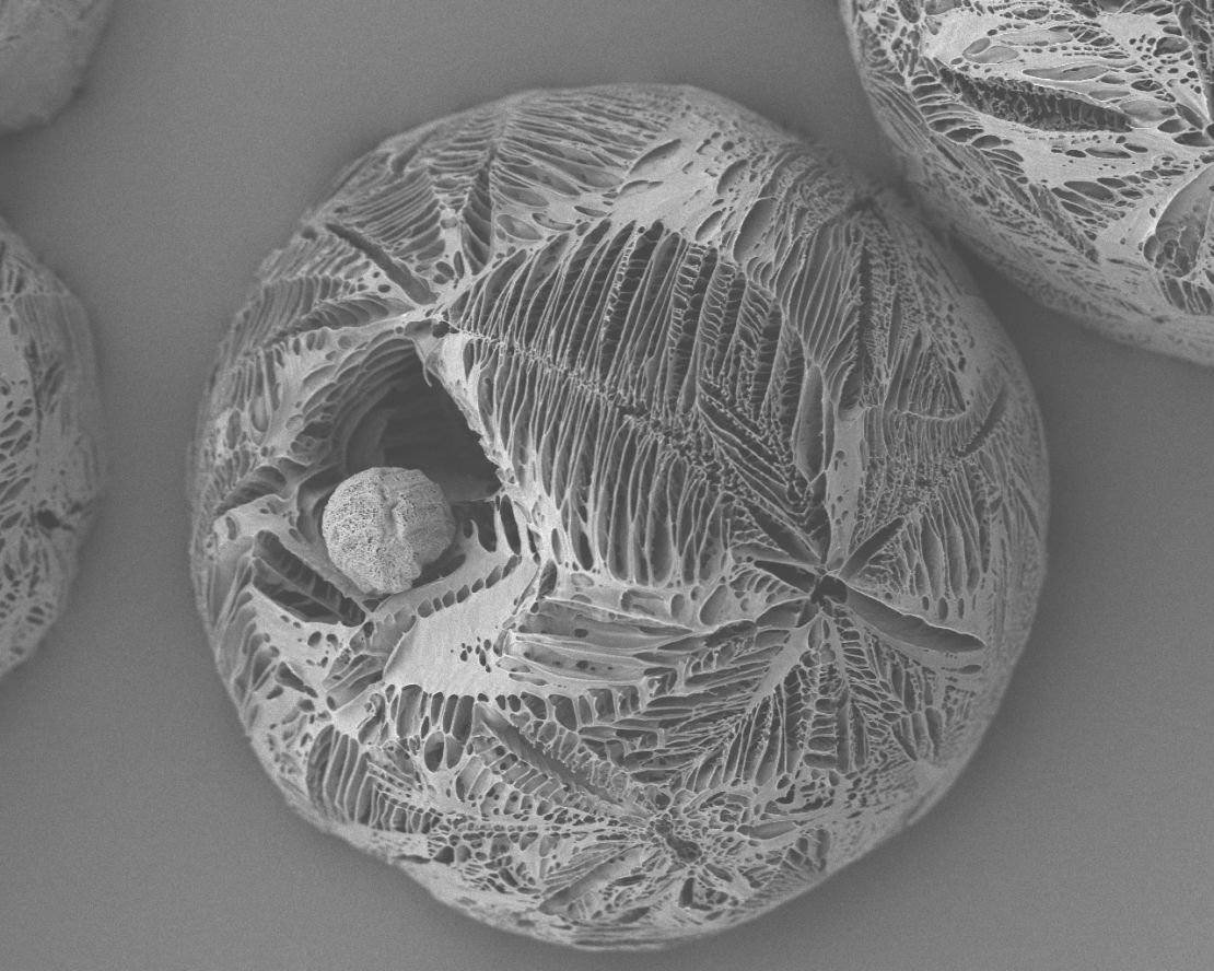 Highly porous polymer microparticle made using a thermally induced phase separation process, 200 microns in diameter
