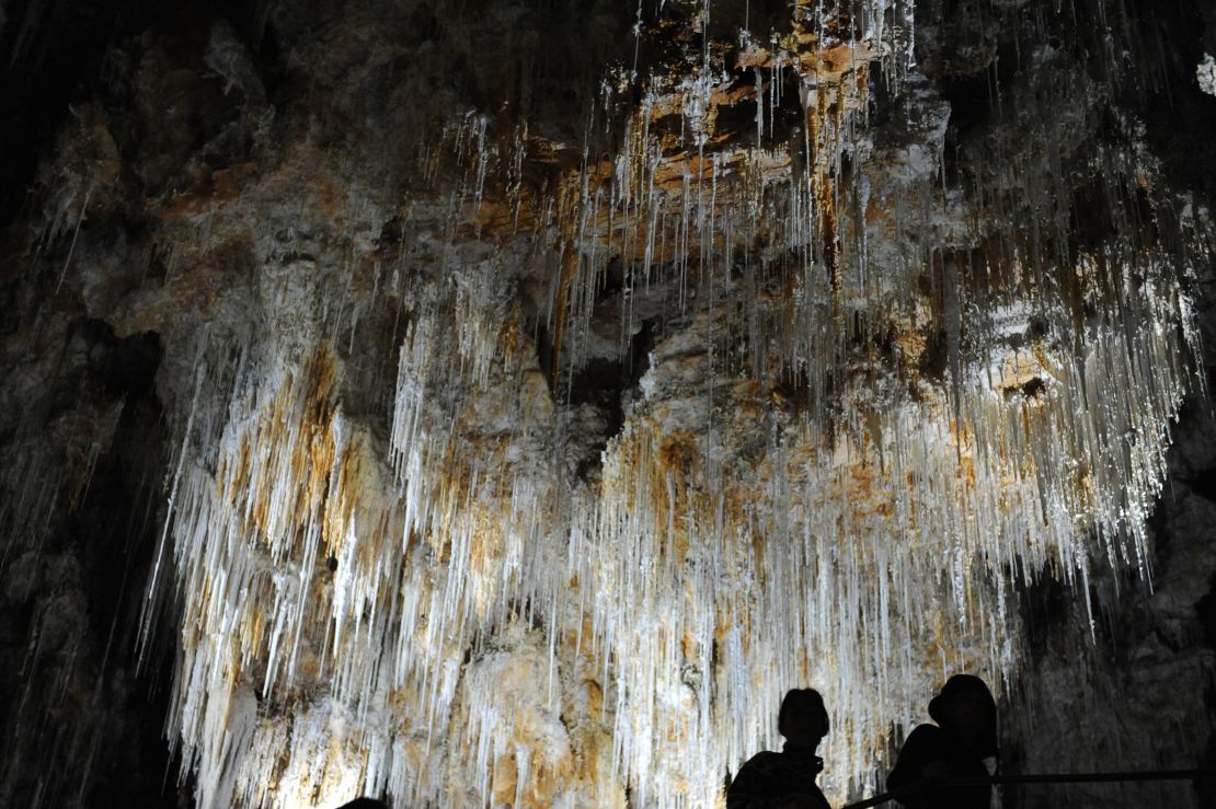 nps100 superlatives Mammoth Cave