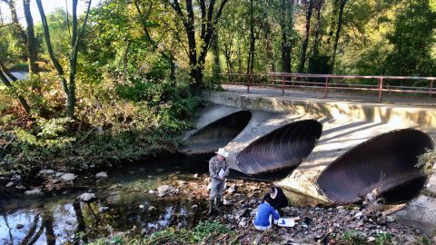 Researchers sample water, as well as algae and bacteria, at Gwynns Run in Baltimore.