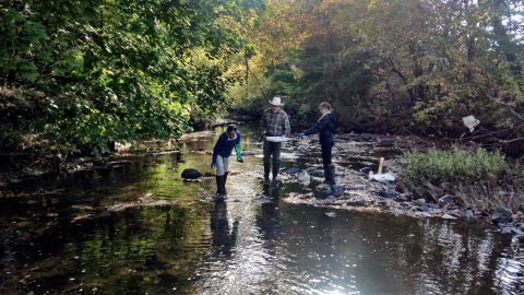 Researchers sample water from Gwynns Falls in Baltimore.