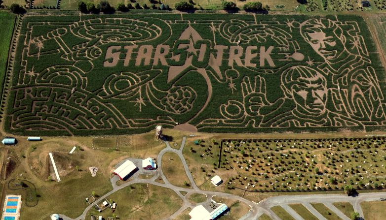 Covering 28 acres (more than 11 hectares) of cornfield, Richardson Corn Maze is the largest maize maze in the world. The owners of the farm planted their first maze using corn in 2001 and change the theme regularly. The present Star Trek design -- a tribute to the TV and movie series' 50th anniversary -- was unveiled in 2016. 