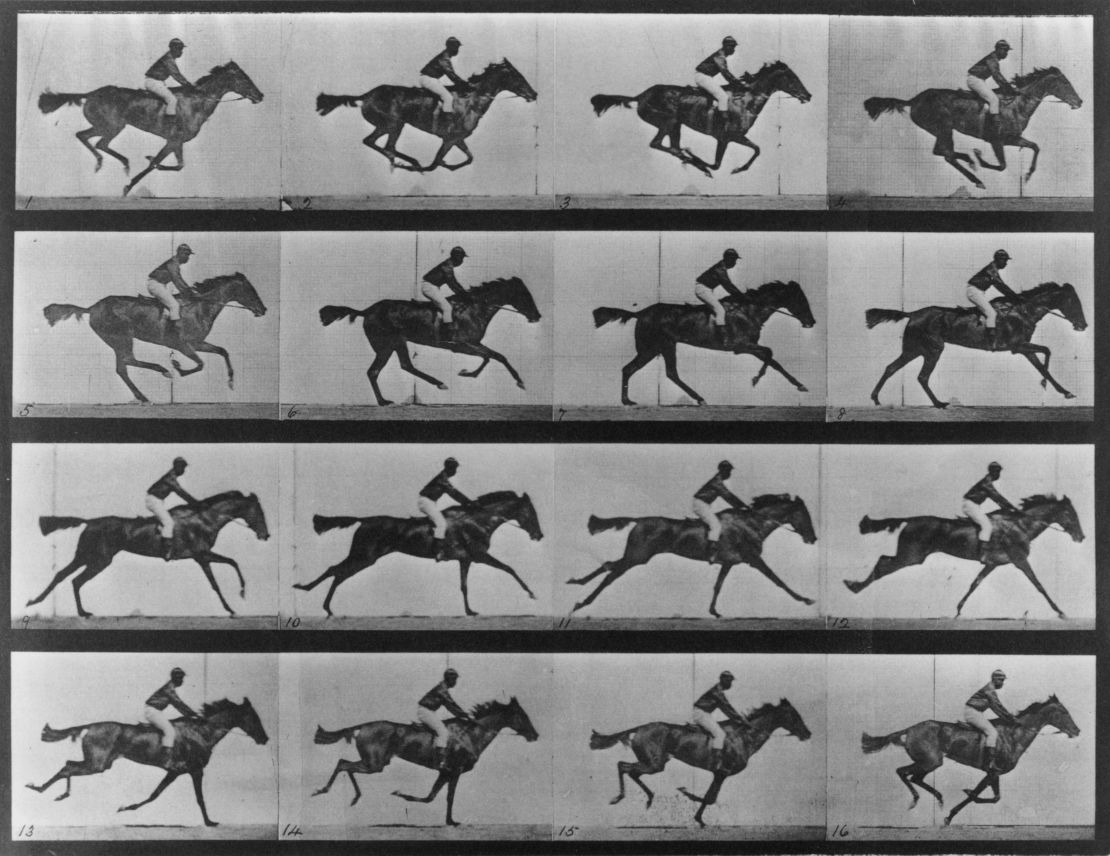 A horse galloping, by Eadweard Muybridge (1830 - 1904).