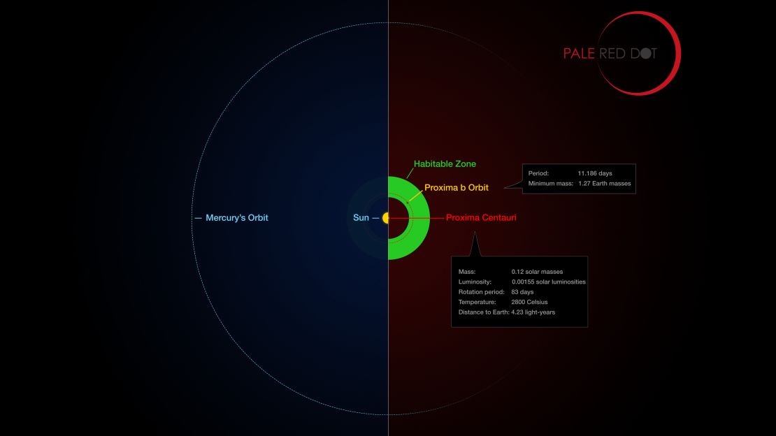 This infographic compares the orbit of the planet around Proxima Centauri (Proxima b) with the same region of the Solar System. 