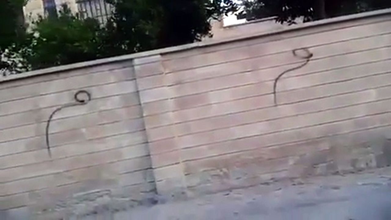 The Arabic letter M painted on walls around Mosul is designed to show citizens they are not alone.