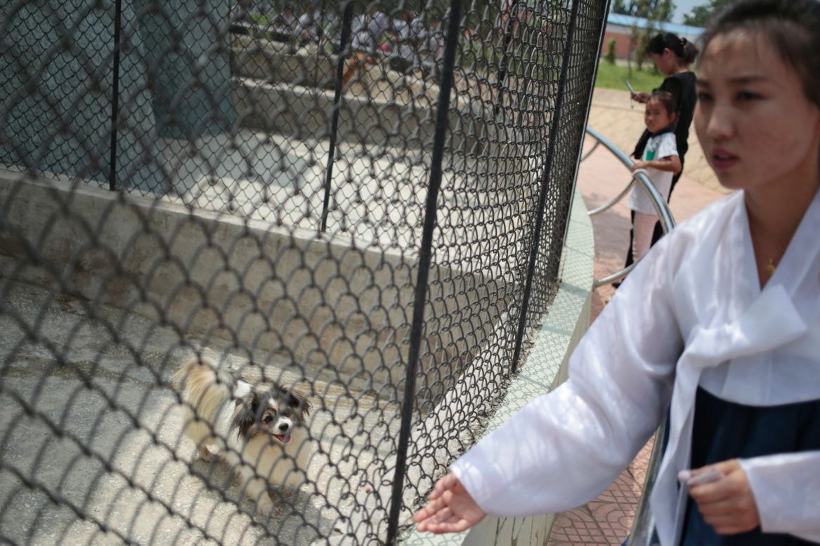 One of the most popular attractions at the North Korean zoo might come as a surprise to foreign visitors: a 'dog pavilion.'