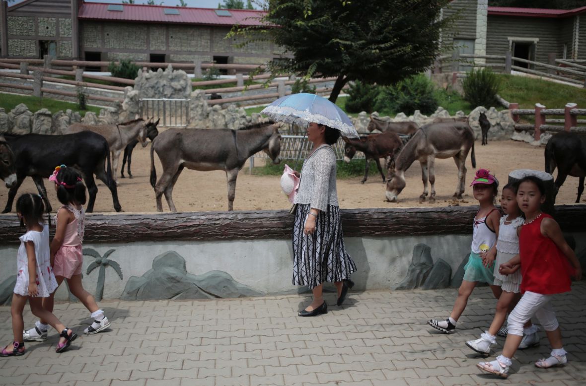 A North Korean woman walks past by a Pyongyang Zoo donkey pen.