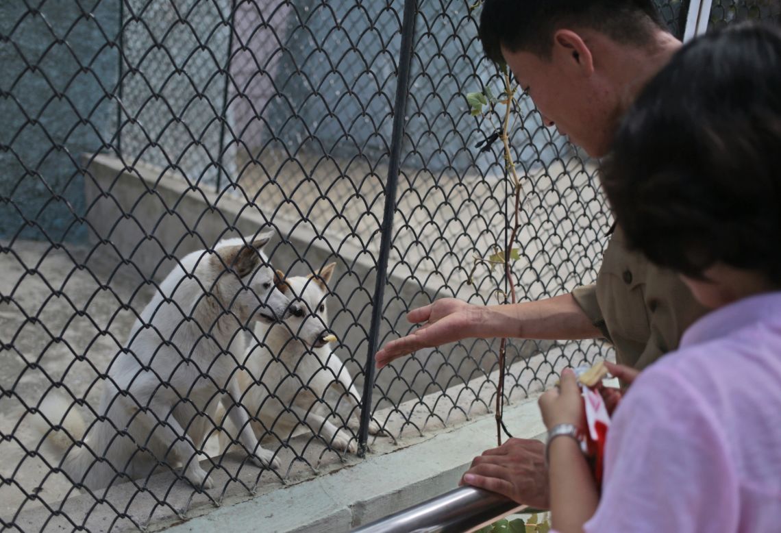 The Pyongyang Zoo 'dog pavilion' boasts everything from German shepherds, Saint Bernards and Shih Tzus.