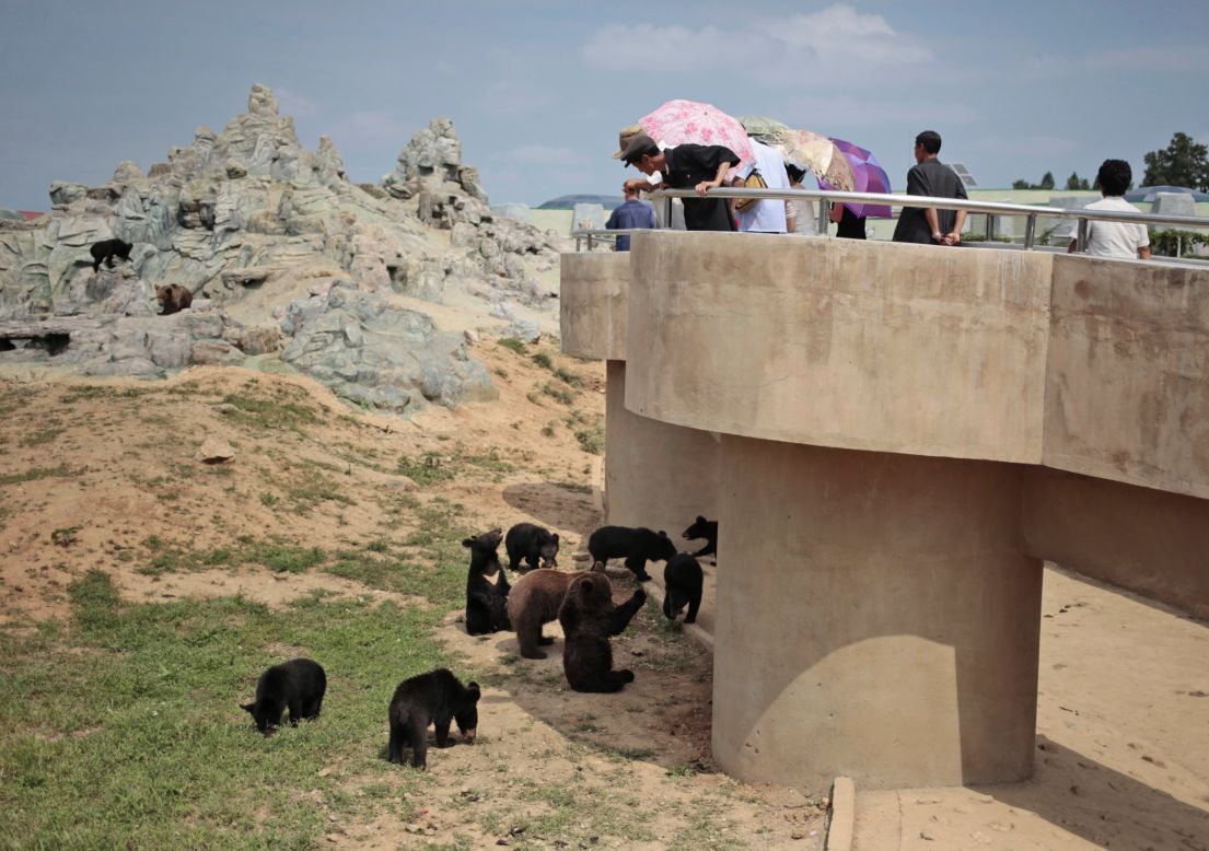 North Koreans peer down at bears at their newly opened zoo.