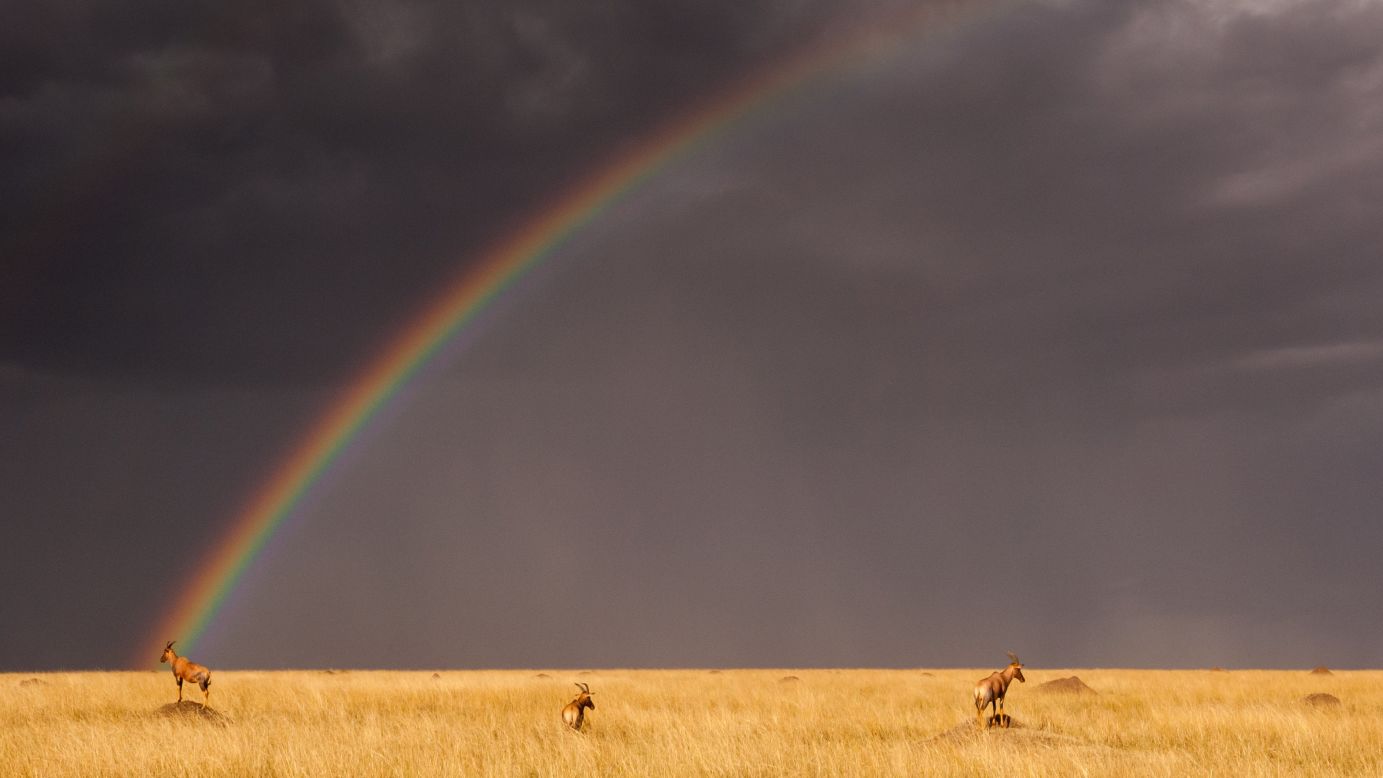 A rainbow is seen at the Masai Mara National Reserve in Kenya on Wednesday, August 24. <a href="http://www.cnn.com/2016/08/19/world/gallery/week-in-photos-0818/index.html">See last week in 31 photos</a>