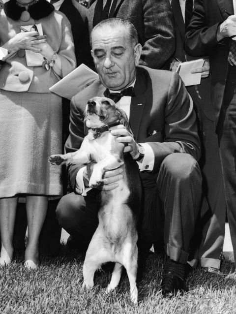 President Lyndon B. Johnson kneels and pets his beagle, Him, on the White House lawn in 1964. Johnson's other beagle was named Her.