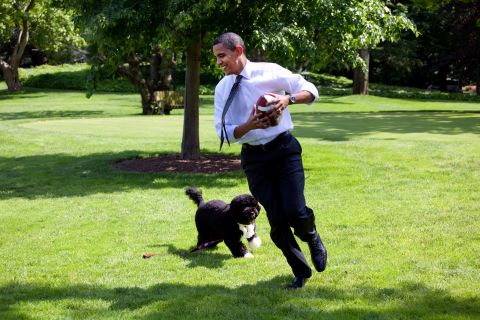 Obama plays football with Bo on the South Lawn on May 12, 2009.