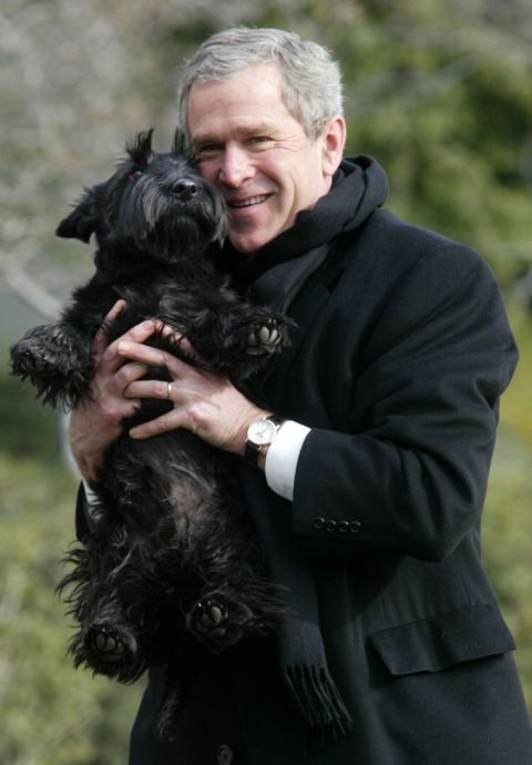 President George W. Bush holds up his dog, Barney, upon arriving at the South Lawn of the White House on February 3, 2002.