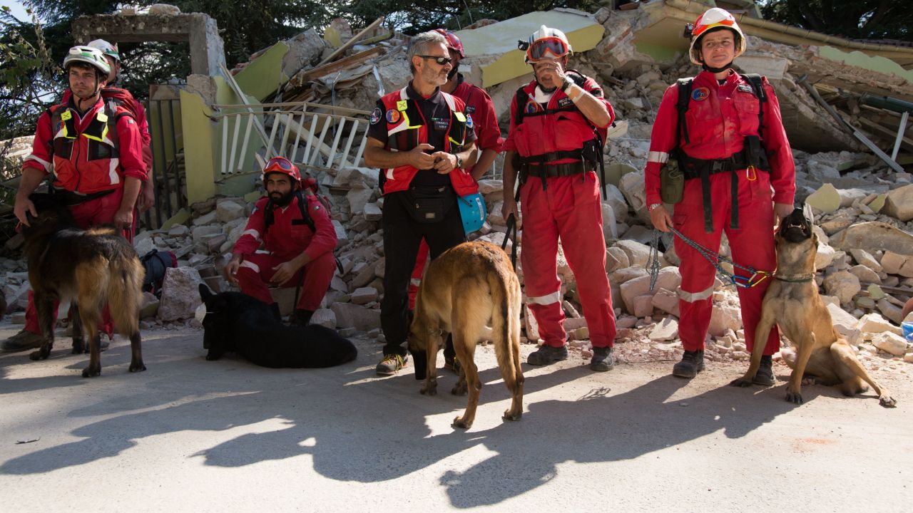 A K-9 rescue crew regroups outside of the red zone in Amatrice.