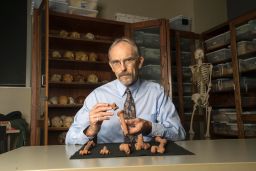 John Kappelman with 3D printouts of Lucy's skeleton.