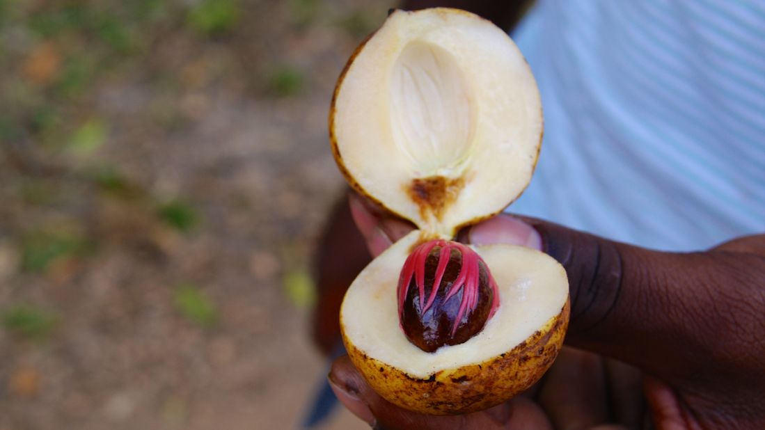 Zanzibar has a spice trade dating back to the 16th century, but today tourism is one of its main industries. Aben Rehan, from Mambo Poa Tours, cracks open a nutmeg seed. 