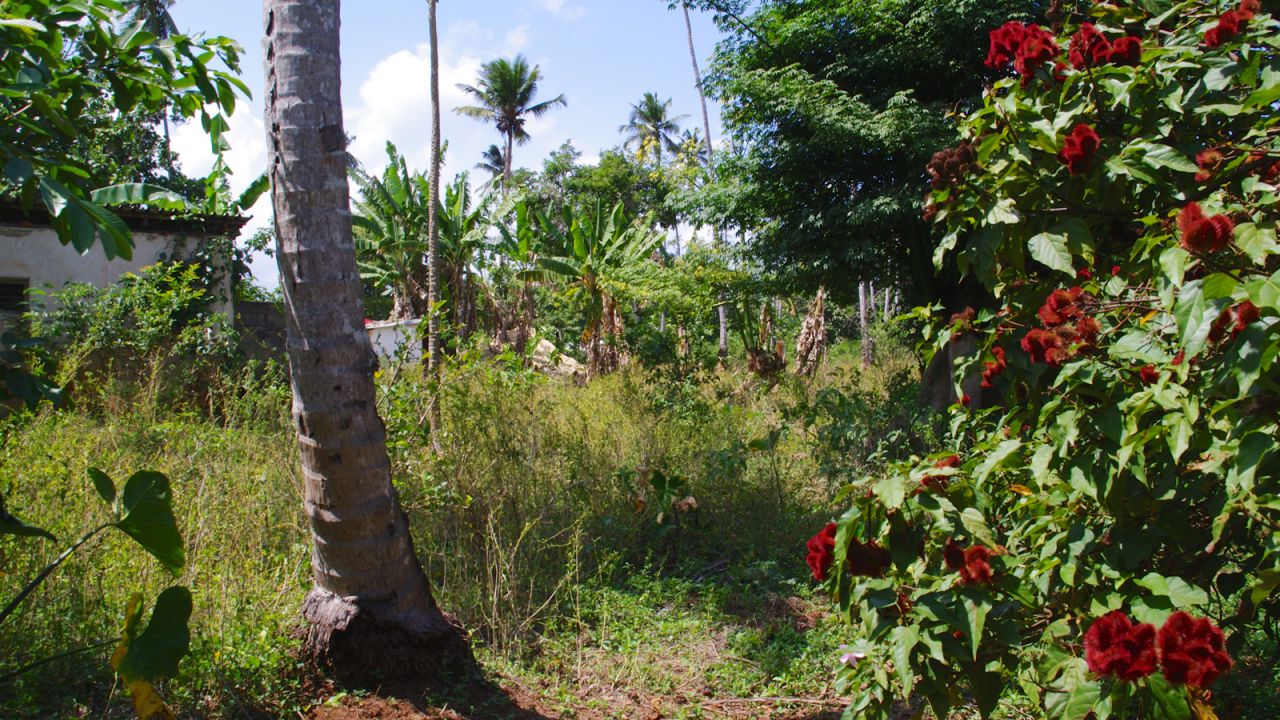 Hakuna Matata Spice Farm, named for the Swahili phrase meaning "no worries," made famous by Disney's "The Lion King," is in Dole village, northeast of Zanzibar City. 