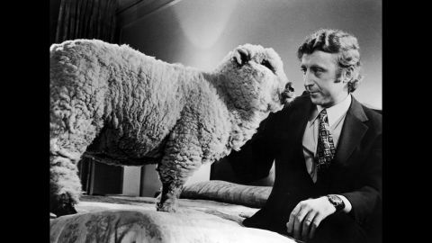 Wilder sits next to a sheep in Woody Allen's 1972 film "Everything You Always Wanted to Know About Sex* (*But Were Afraid to Ask)."