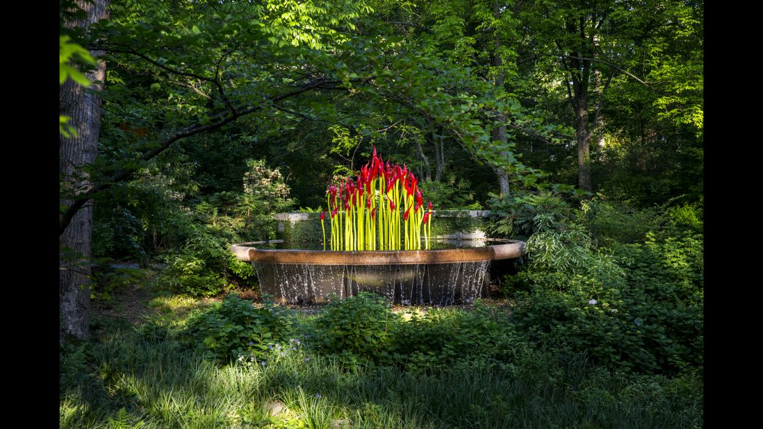The colorful "Fern Dell Paintbrushes" emerge from a lush water source.