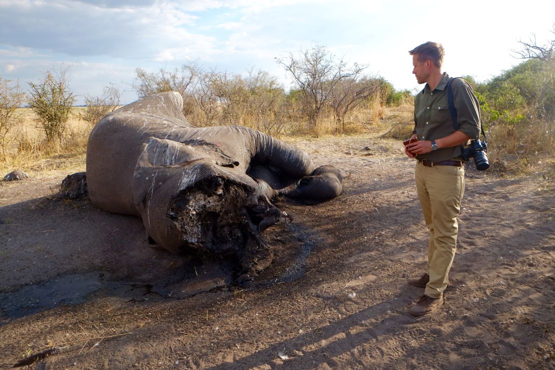 Elephant ecologist Mike Chase examines an elephant whose face was hacked off by poachers in Botswana.