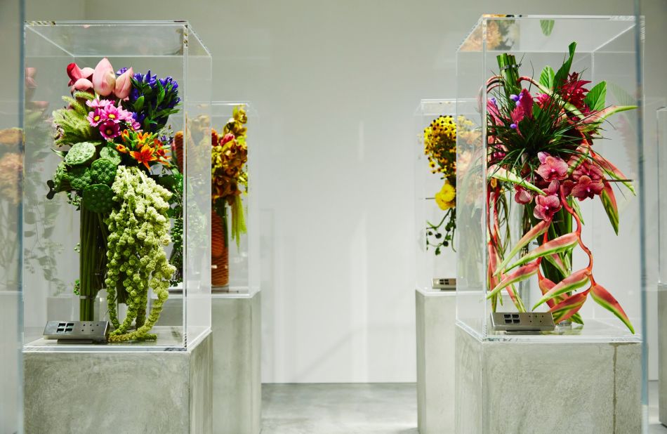 Azuma has an underground florist shop in Tokyo, called "Jardins des Fleurs", that he says is "like a wine cellar." The temperature, light and humidity are all carefully controlled to ensure the flowers are shown at their best. 