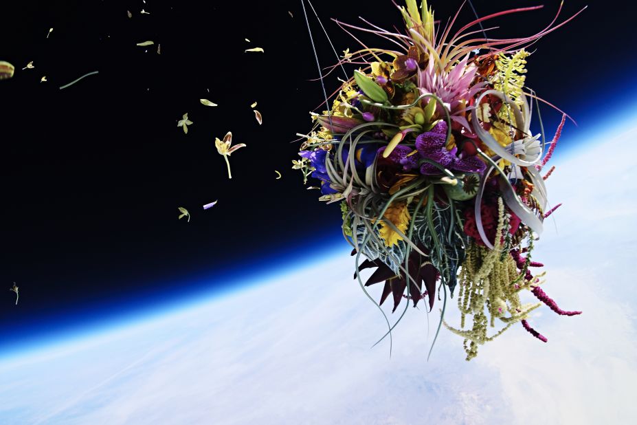 In Exobiotanica, Azuma sent a pine bonsai and a mother's day bouquet into space and photographed them suspended against the earth. "Making just an art object was not a goal at all," says Azuma. "I thought I could make more beautiful flower art in the world of minus 60 degree Celsius."