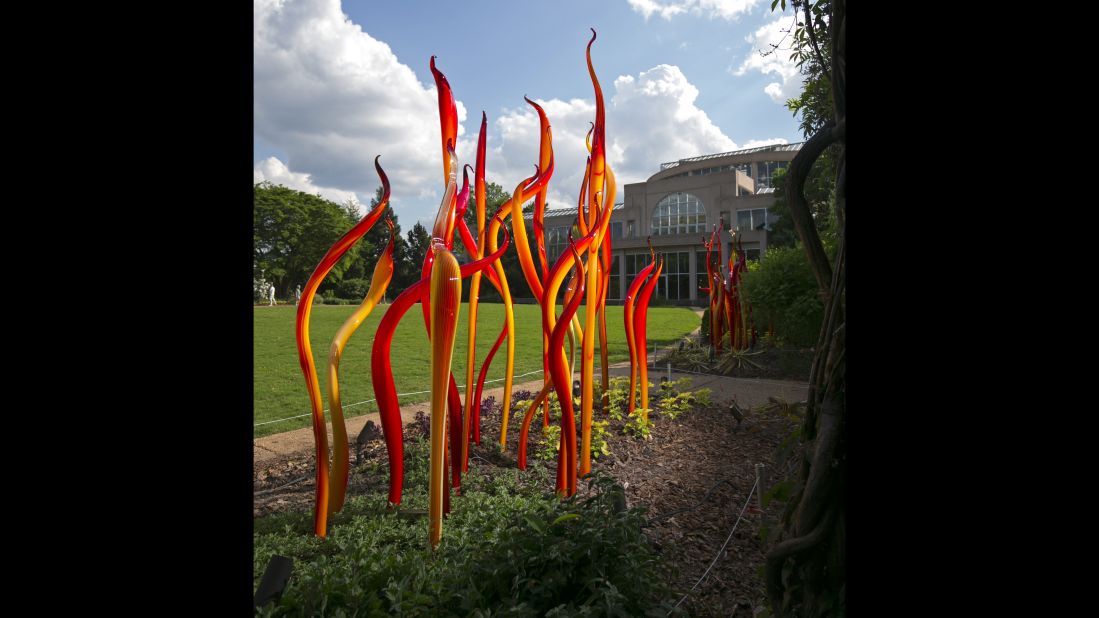 The sinewy shoots of "Carmel and Red Fiori" line the Great Lawn outside the conservatory.