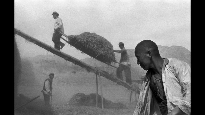 Men harvest wheat in China's Gansu province in 1957.