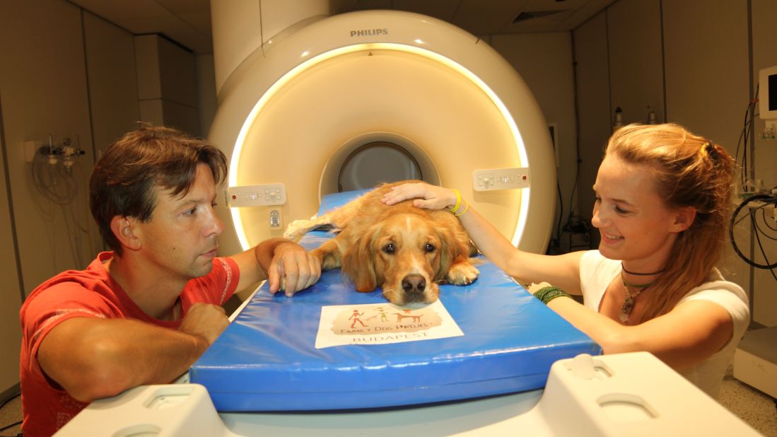 Researchers Attila Andics (on left) and Anna Gábor (on right) sit with the dog, Barack, during the study.