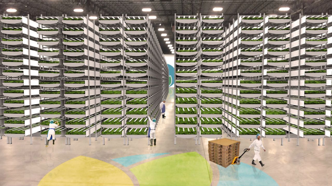 Built in a converted steel mill in Newark, New Jersey, it is the largest indoor vertical farm in terms of production capacity, which is estimated at 2 million pounds of greens a year, according to the company. This rendering shows what the facilities will look like when fully operational. 