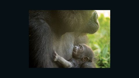 Aww, will you look at that?