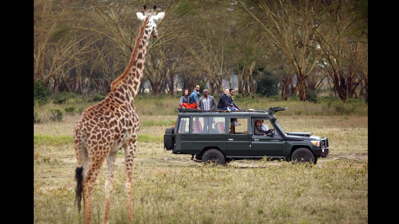 Zuckerberg and friends watch a giraffe from the safety of safari truck.