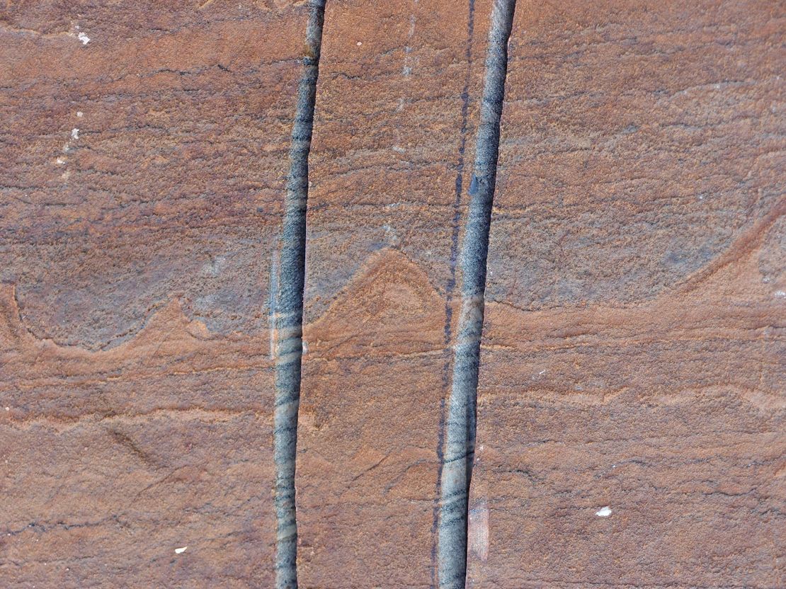 A stromatolite is a mound of up to 4cm formed by microbial colonies on the sea floor. Pictured, the fossil found in Greeland.