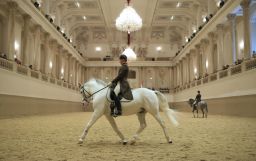 A Lipizzaner stallion and rider practice at the Spanish Riding School of Vienna. 