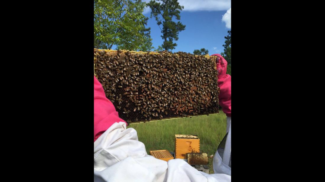 This is what a hive looked like just before the spraying, said Juanita Stanley, co-owner of <a href="https://www.facebook.com/Flowertown-Bee-Farm-and-Supplies-169371146803372/?fref=ts" target="_blank" target="_blank">Flowertown Bee Farm and Supply</a>. 