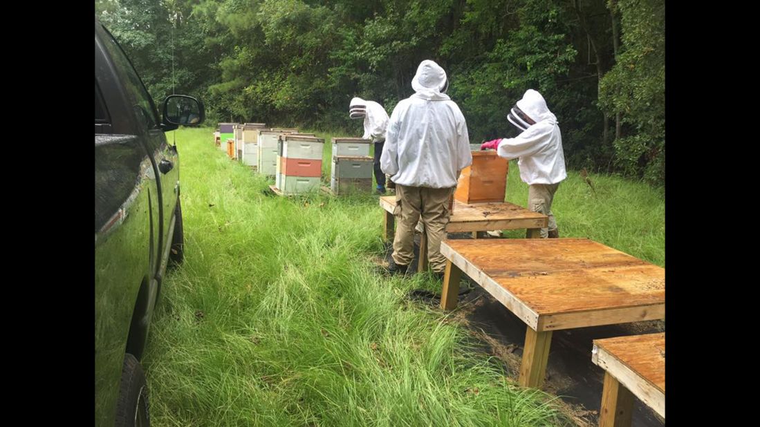 More than 46 hives were killed by the spray, ruining her entire business, said Stanley.