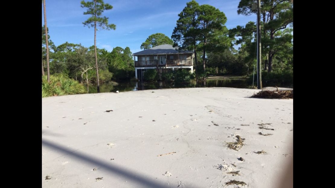 hermine alligator point home