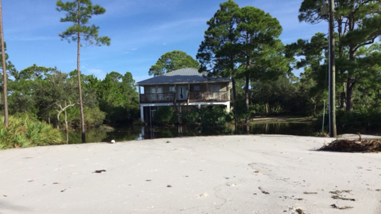 hermine alligator point home