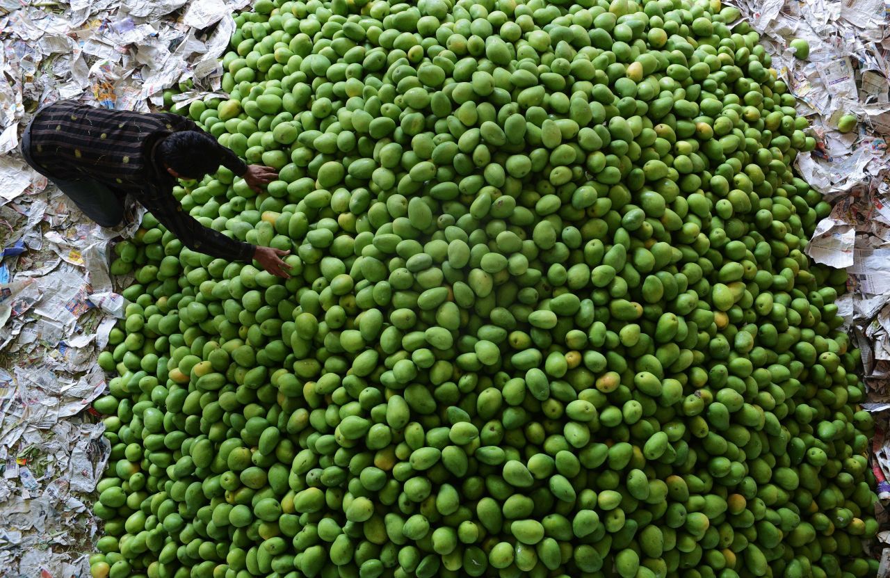 One shouldn't leave India without sampling some mangoes.