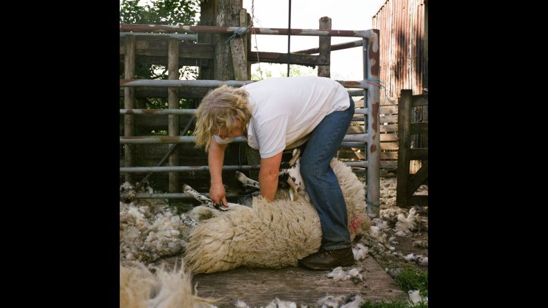 Sybil MacPherson shears an animal on Brackley Farm.