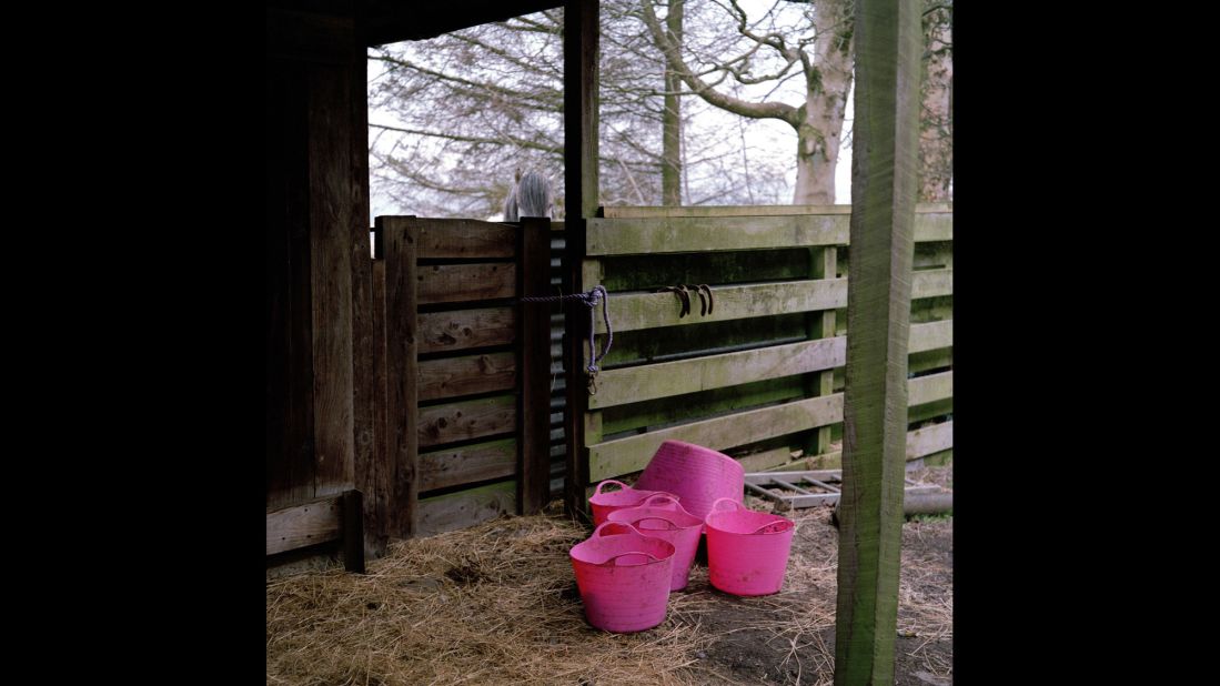 Pink buckets on Mary McCall-Smith's Connachan Farm in Crieff.